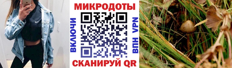 omg ТОР  маркетплейс официальный сайт  Фокино  Галлюциногенные грибы ЛСД  закладка 